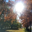 화명온천 이미지