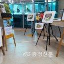 서부장애인종합복지관 이미지