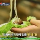 돼지맘