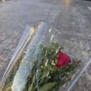 중동012 | 쿠알라룸푸르 잘란알로 The VIP Room KL 클럽 방문기