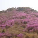 행복동산 이미지