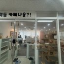 랙돌카페냐옹 이미지