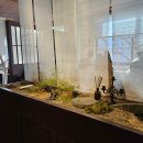 마실계절맛집 | 강릉여행 계절빙수 맛집 시만차 분좋카 카페 내돈내산 후기