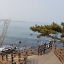 호미반도해안둘레길 이미지