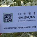 코인몬스터 노래연습장 대구동성로점 이미지