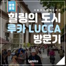 루카LUCCA 이미지