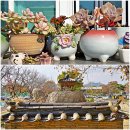 양평체육공원길 | 경기도 양평 세미원/두물머리물레길 (&#39;25.10.29)