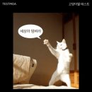 테트리스 찜닭 이미지