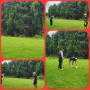 마스타골프연습장 이미지