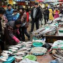 자갈치시장 이미지