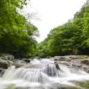 남원역안내소 | 시원한 물줄기와 나무그늘, 삼복더위도 얼려버리는 지리산 뱀사골 계곡
