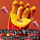 예현유치원 | 숨길 수 없는 가을