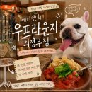 삼겹하새우 | 의정부 애견카페 추천 루프탑 맛집 에이엔티 우프라운지 내돈내산 대만족 후기
