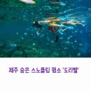 대포연대 | 제주 대포연대, 스노쿨링 명소로 떠나는 힐링 여행