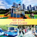 고덕천 물놀이장 네이버블로그