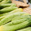 오이 한약국 이미지