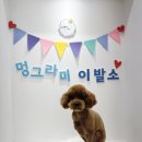 멍이발소 이미지