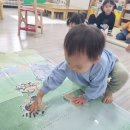 꼭꼭 숨어라 동물들아 이미지