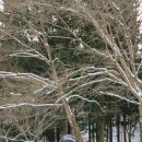 농업회사법인 장성 주식회사 이미지