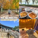 경북 경주 단풍명소 대릉원 불국사 경상북도산림환경연구원 경주숙소 국내 가을 여행지 추천