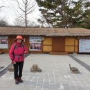 개화산 자락길 Daum카페