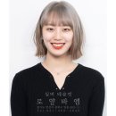 로얄바엠 네이버블로그