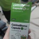 케이나인종합동물병원 | 동물병원에서 구입한 39만원 강아지 장건강 영양제 사용후기