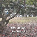 서천-16 | 충남 당일여행 서천 시티투어 주꾸미축제 동백 여행 로망스투어 혼자 국내여행 후기