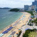 해운대관광안내소 이미지