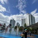 일산동 일산소공원 이미지