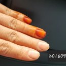 내손에꽃물