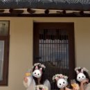 스테이담안 이미지