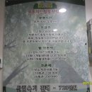숲엔숲 이미지