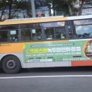 크리스탈피부미용;녹두미인
