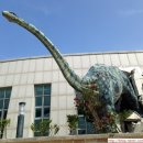 해남공룡박물관 이미지