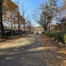 인천대공원(다목적광장) 이미지