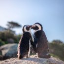 ㈜오산투어 이미지