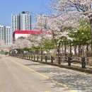 부이공원 이미지