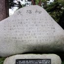 소나무송 이미지