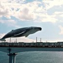 대륙카센터 이미지