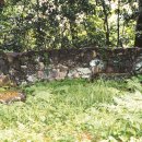 삼달1리 이미지