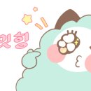 부산요트투어요트아일랜드