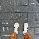 (주)썬라이즈소프트 | 장비중독자의 뉴발란스 북촌 런 허브점 Drop in! (feat. 뉴발란스 퓨어셀 SC엘리트 v4)