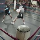 SG 복싱 GYM 이미지