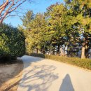 참좋다 | 2025년 부산시 미디어 멤버스 해단식 후기,함께라 참 좋다(at.도모헌)