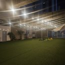 디어마이퍼피 이미지