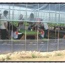 예슬농장 이미지