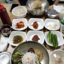 [여행기록]포항 물회 맛집 &#39;수향회식당&#39;, 구룡포...구룡포 근대역사관, 동백꽃필무렵 &#39;까멜리아&#39; 방문 후기