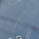 아이덴트 이미지