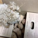 나래농원 이미지